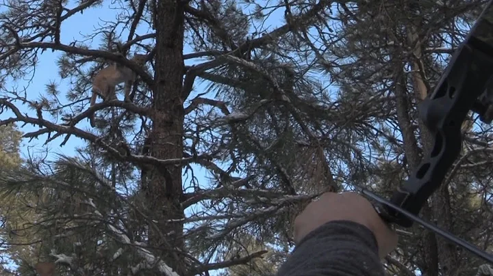 Mountain Lion with a Recurve - Fred Eichler