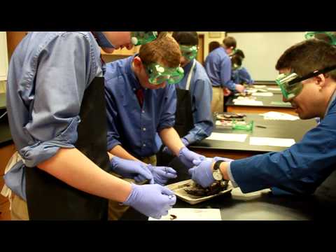 Northridge Prep Students React to Dissected Frog