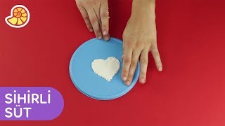 Sütü Taşa Çevirdik Pratik Bilim