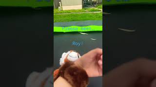 Full What is the toy’s name:book buddy News