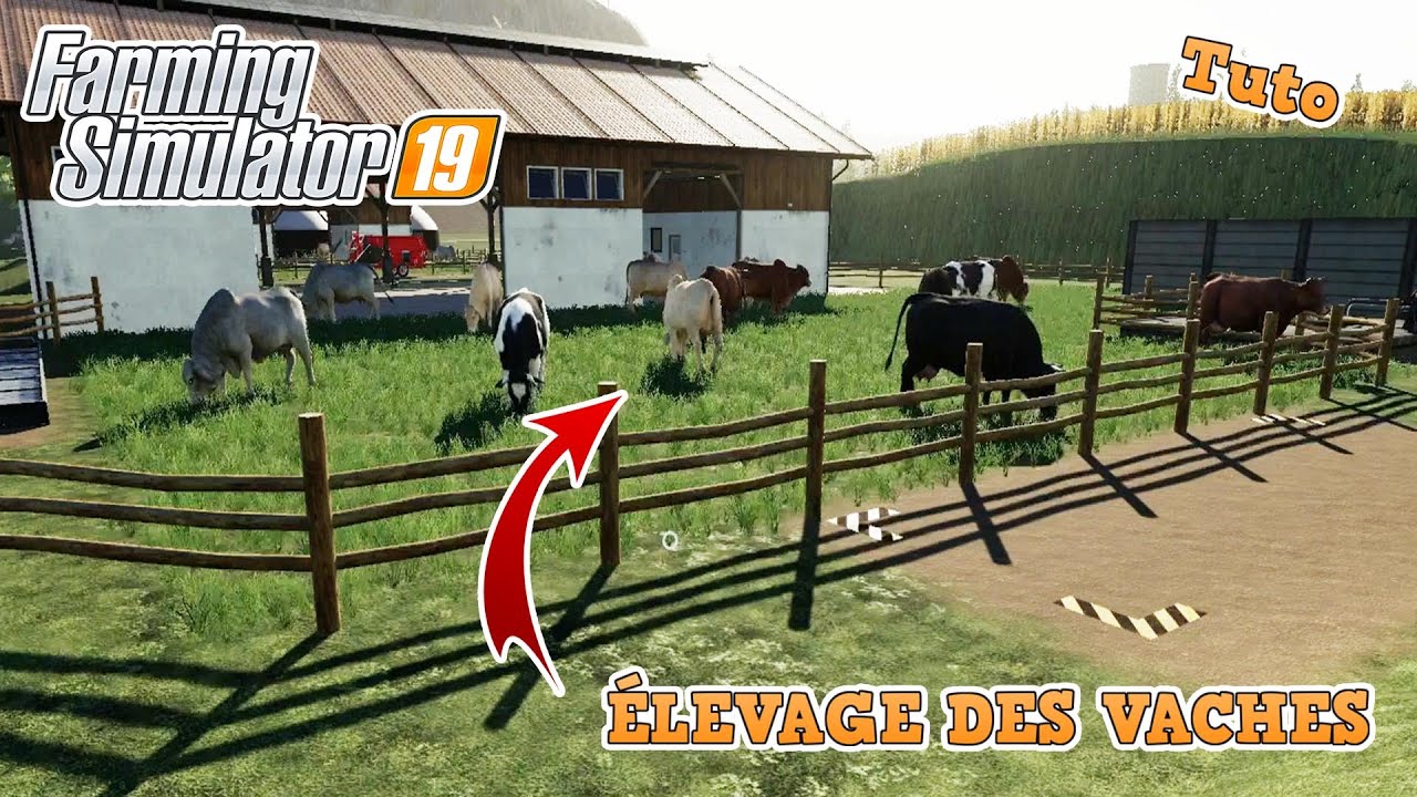 Comment Donner De L'eau Au Vache Farming Simulator 2022