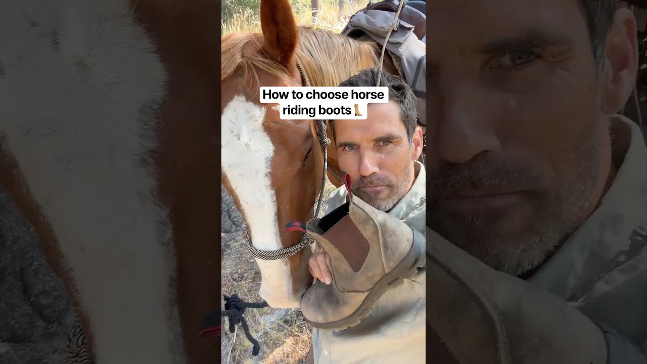 How to choose horse-riding boots👢