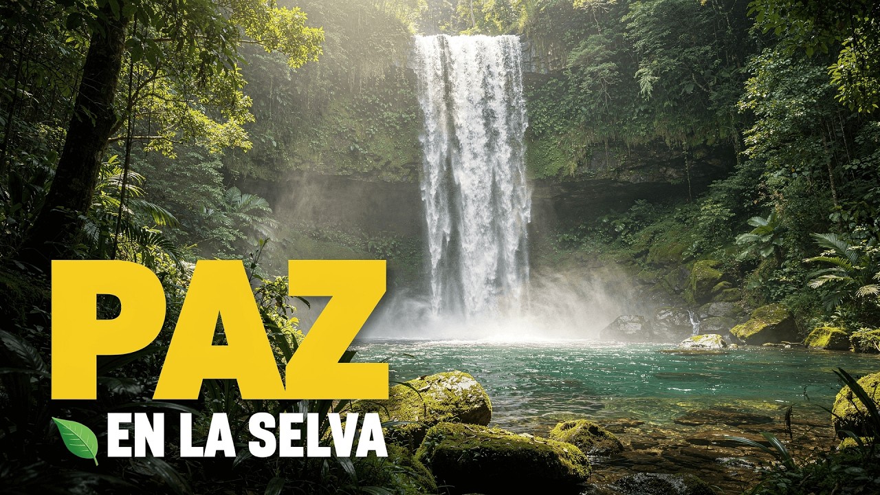 6 minutos Paisajes de la Selva 🌿 Piano Relajante y Sonidos de Pajaritos Vol.3