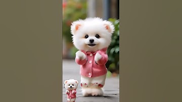 Thumbnail of Cute puppy nice dance #music #song #pop #0541