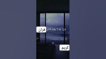 قران كريم بصوت هادى حالات واتس اب#المصحف