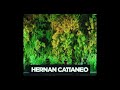 Hernan Cattaneo live at Woodstock 69 Bloenmendaal , Netherlands - July 2018