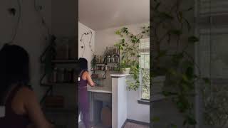 New Home Apothecary Set Up