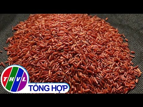 Video: Thảo Mộc Cẩm Chướng