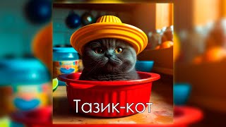 Симбочка – Тазик-кот (Метал версия)