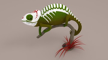 Chameleon Animation in Blender