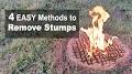 Video for STUMPOFF