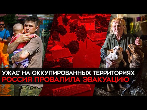 Видео: Майкл Ради Чистая стоимость