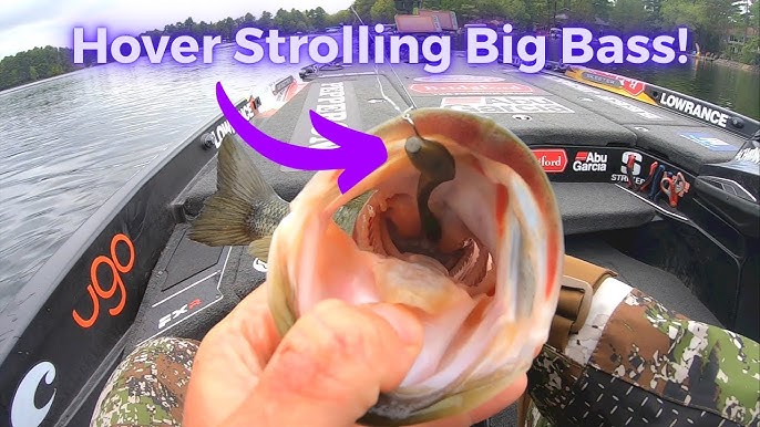 Fishing Bobbers 101 #fishing #bassfishing #fishingtiktoks #fishingvide