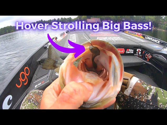Hover Strolling! The Most Underrated Bass Fishing Technique (Hover