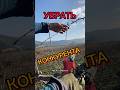 Обрезка плодовых деревьев "на одну". убираем рогатки, конкуренты #огород #сад #природа #дача #весна