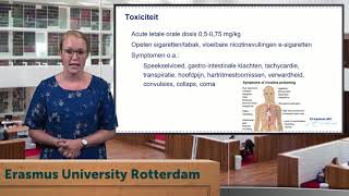 Download Lagu Geneesmiddel van de week - Nicotine MP3