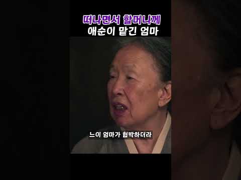 떠나면서 할머니께애순이 맡긴 엄마 #폭싹속았수다 #박보검 #아이유 #박해준 #문소리