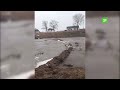 Поселок Линёвка в Верхнеуральском районе оказался отрезан от мира. Паводок разрушил подвесной мост