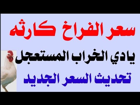 اسعار الفراخ البيضاء اليوم سعر الفراخ البيضاء اليوم الأربعاء ١٣ ٨ ٢٠٢٥ 