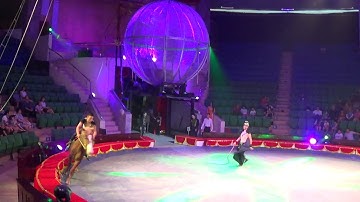 Xiếc ngựa ở Hà Nội . phamthanhcai