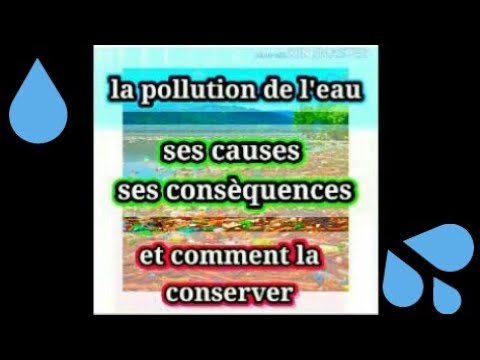 Vidéo: Quels sont les effets néfastes de la pollution de l'eau ?