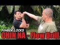 CHIN NA Kung Fu - Flow Drills - FINGER Locks and Reversals