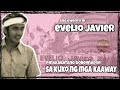 Ang pamamayagyag at pagbagsak ni governor evelio javier  paano mag alay ng buhay para sa bayan