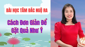 Bài Học Tâm Đắc Ngộ Ra: Cách Đơn Giản Để Gặt Quả Như Ý | Hà Thị Loan