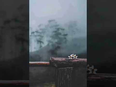Poomuthole Nee Song By Vijay Yesudas Original Hd Lyrical Video