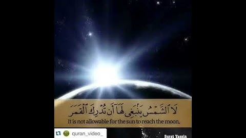 ماجد الزامل من سورة يس