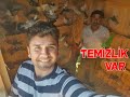 Güvercin Uçum Kümesini Veli Ustayla Temizledik