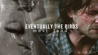 Supernatural | Eventually The Birds Must Land