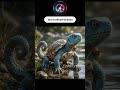 Squirtle in Real Life Looked Too Cute
