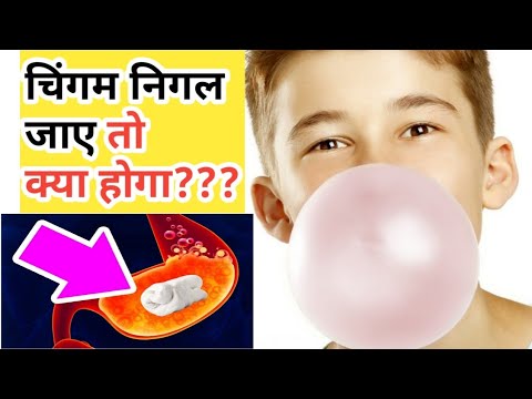 वीडियो: मेरे कुत्ते को कीड़े क्यों मिलते हैं?