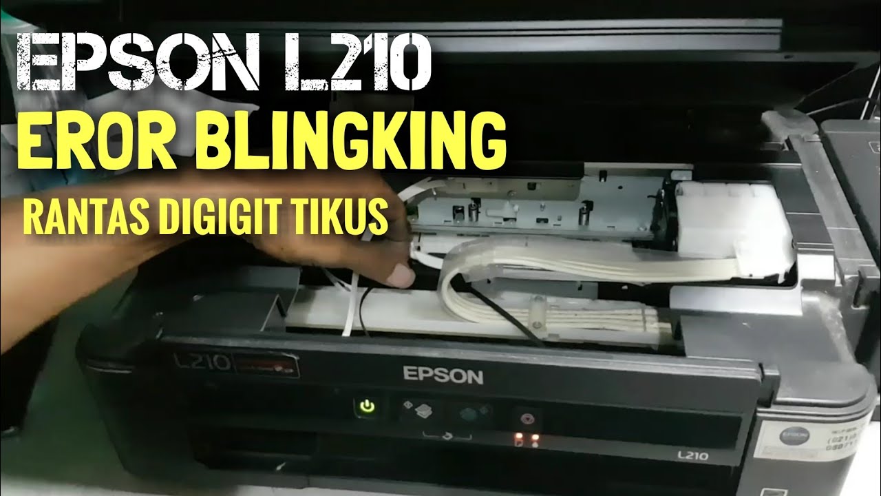 Epson L210 Lampu Tinta Berkedip Kabel Head Gigit Tikus  