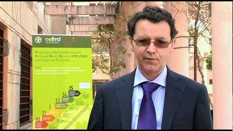 K. Sumption (EuFMD) on FMD Progressive Control in South Asia