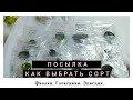 Посылка с фиалками. Как выбрать сорт?