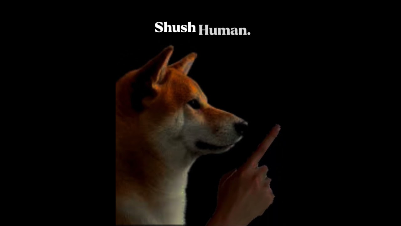 Shush human - originated by me 