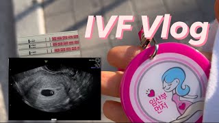 [시험관vlog]  신선1차/ 3일배아이식/ 낮은피검수치 더블링성공부터 아기집보기까지🩵 그런데 심장소리가 안들려😭 (feat.계류유산)