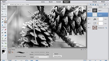 From Raw to Wow! Black and White conversion using Photoshop Elements 13