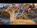 Figs of Kandahar | Dried Fruit Afghanistan | د کندهار انځر