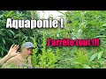 Aquaponie jarrte tout 