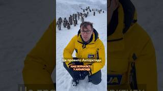 🐧 Життя Пінгвінів На Станції Вернадського. Наш Журналіст Показує Місцевість #Shorts #Антарктида