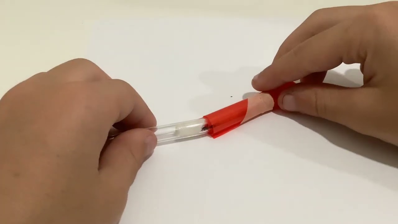 are twig ant queen past. but we got new yellow crazy ant queens