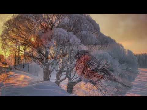 MARIA TIBIRKOVA Снігопад