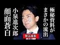 “小泉進次郎 極秘マニュアル”を入手…これは首相誕生計画の全貌です