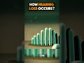 How Hearing Loss Occurs 3D Animation #hearing #hearingloss #hearinglossjourney #hearinglossawa