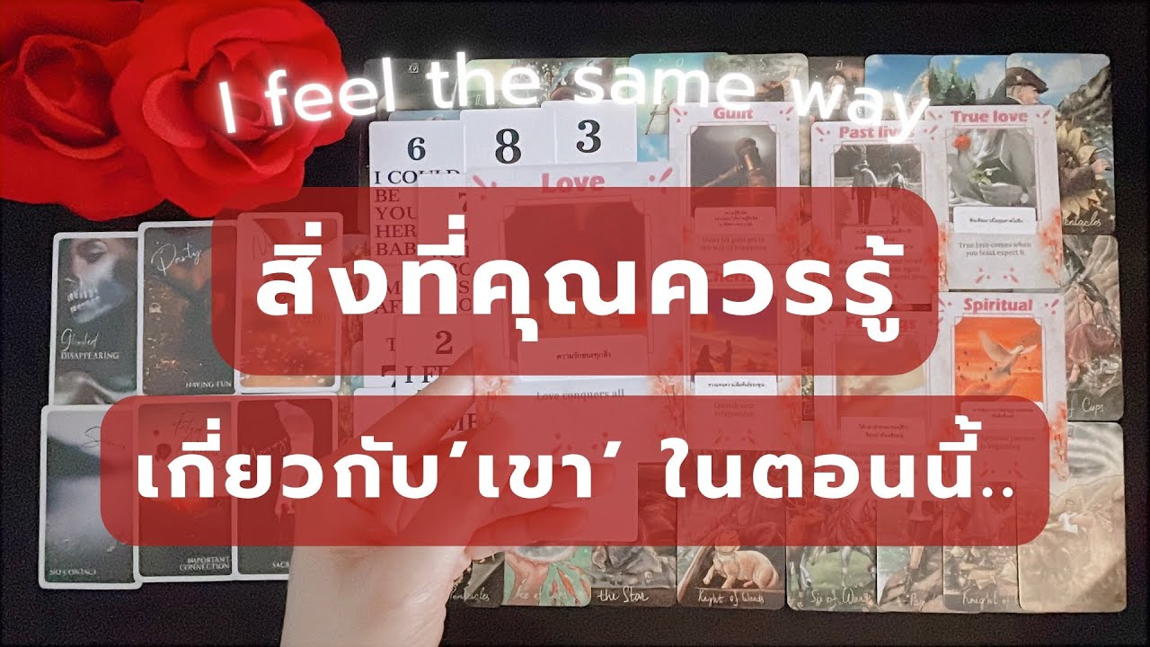 I feel the same way 💞 สิ่งที่คุณควรรู้.. เกี่ยวกับเขาในตอนนี้ : Random | Timeless 