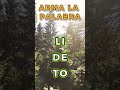 Desafío de letras activado 🧠🟢