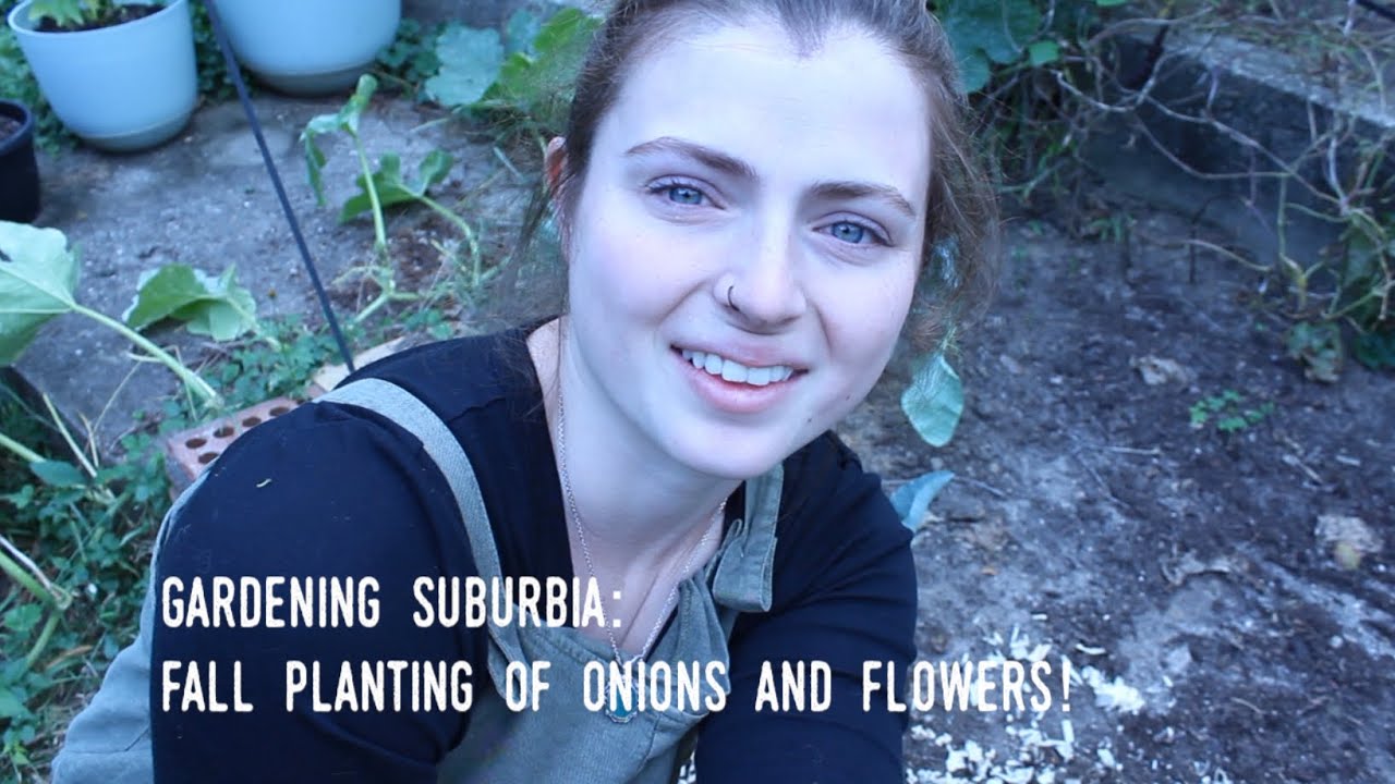 Fall planting of onions and tulips! Ohio zone 6a YouTube